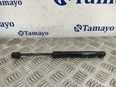 Tailgate/trunk strut/damper
