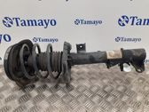 Amortiguador delantero con muelle espiral