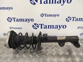Amortiguador delantero con muelle espiral