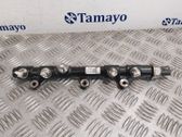 Rampa inyectora