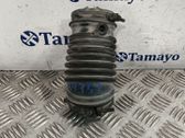 Manguera/tubo del aire acondicionado (A/C)