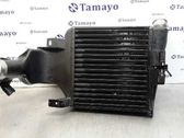 Radiador intercooler