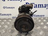 Klimakompressor Pumpe