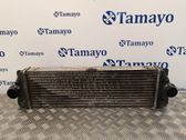 Radiador intercooler