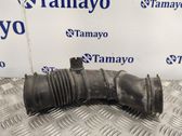 Manguera/tubo del aire acondicionado (A/C)