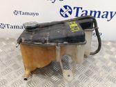 Fuel expansion tank
