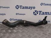 Coolant pipe/hose