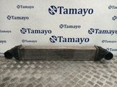 Radiador intercooler