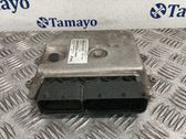 Unidad de control/módulo del motor