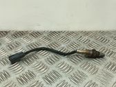 Lambda zondas