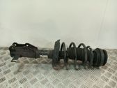 Amortiguador delantero con muelle espiral
