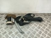 Cinturón trasero