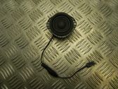 Front door high frequency speaker