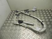Airbag del techo