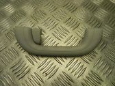 Front interior roof grab handle