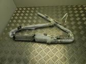 Roof airbag