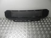 Front grill