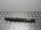 Front shock absorber/damper