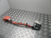 Faisceau de câblage pour moteur
