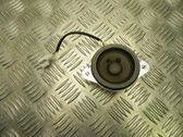 Front door high frequency speaker