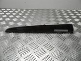 Radio/GPS head unit trim