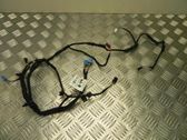 Other wiring loom