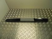 Radio/GPS head unit trim