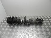 Front shock absorber/damper