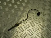 Rubber seal loading door