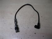 Ignition plug leads