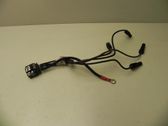 Ignition plug leads