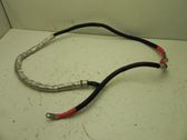 Other wiring loom