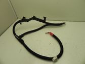 Other wiring loom