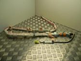Roof airbag