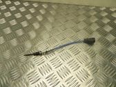 Gummidichtung Heckklappe