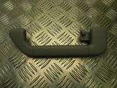 Front interior roof grab handle