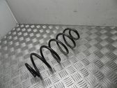 Rear coil spring