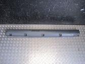 Front sill (body part)