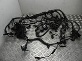 Other wiring loom