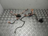 Other wiring loom