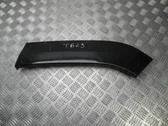 Front sill trim cover