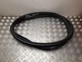 Front door rubber seal