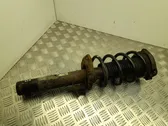 Front shock absorber with coil spring