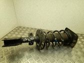 Front shock absorber with coil spring