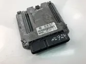 Calculateur moteur ECU