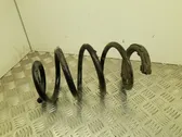 Front coil spring