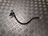 Other wiring loom