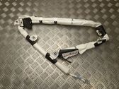 Roof airbag