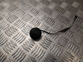 Front door high frequency speaker