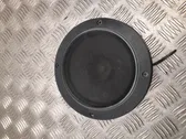 Front door high frequency speaker